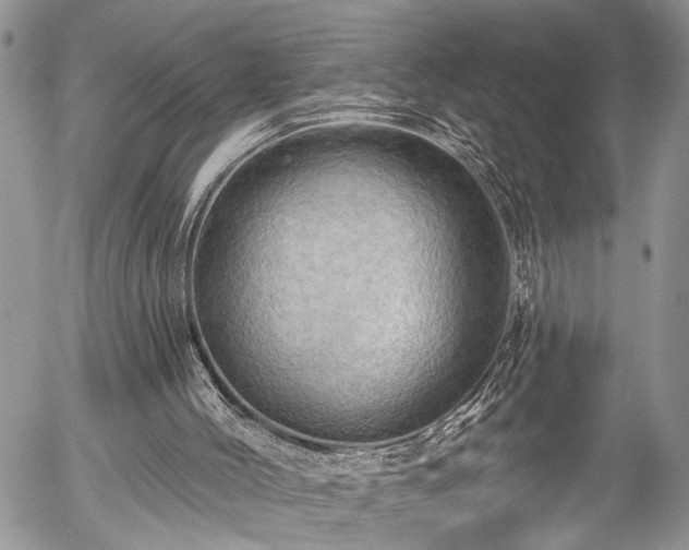 X0000057570004200509191453