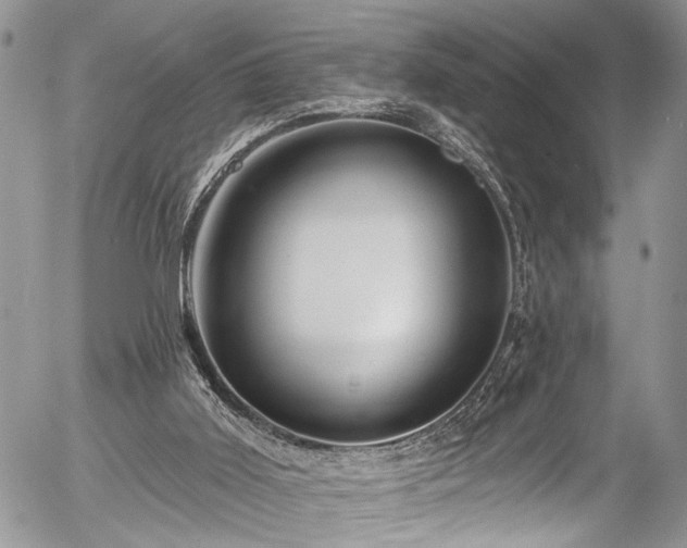 X0000057570011200509191453