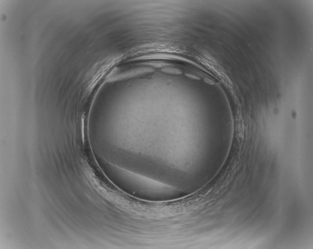 X0000057570014200509191453