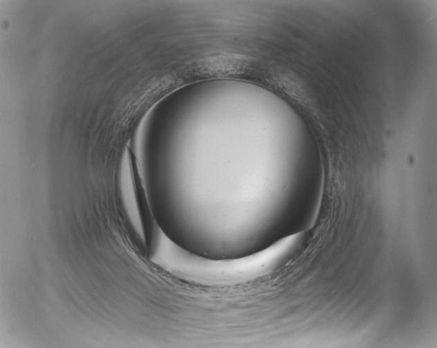 X0000057570021200509191453