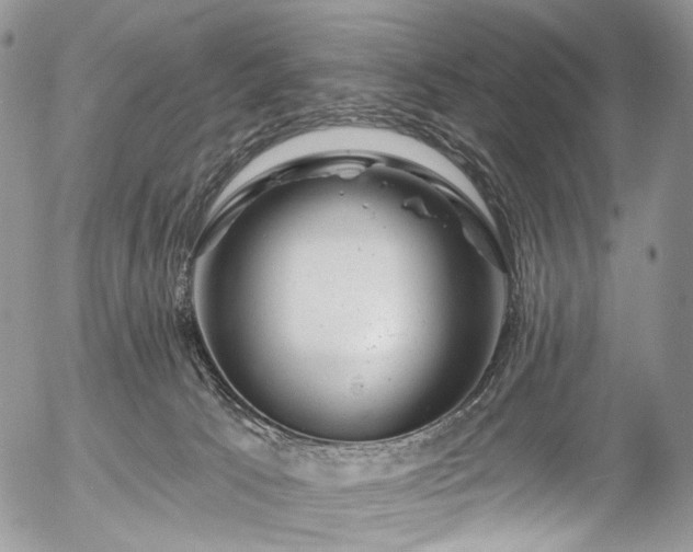 X0000057570033200509191453