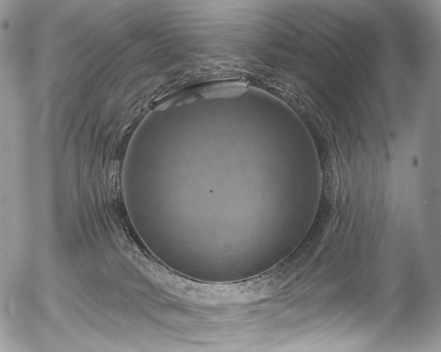 X0000057570034200509191453