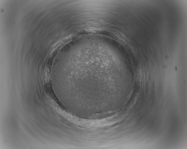 X0000057570043200509191452