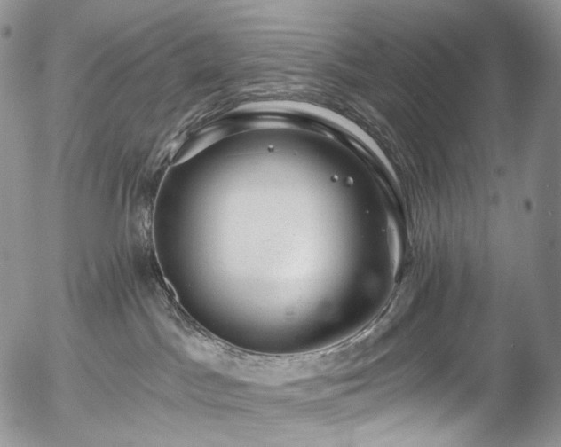 X0000057570045200509191452