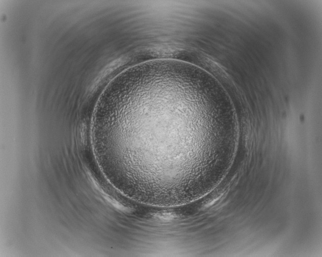 X0000057570071200509191452