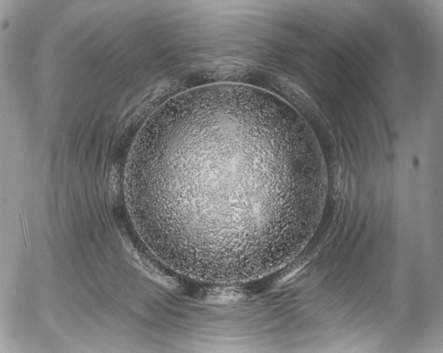 X0000057570077200509191452
