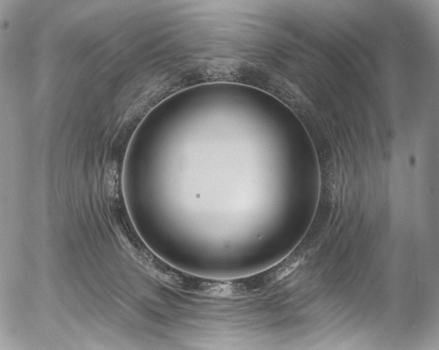 X0000057570083200509191452
