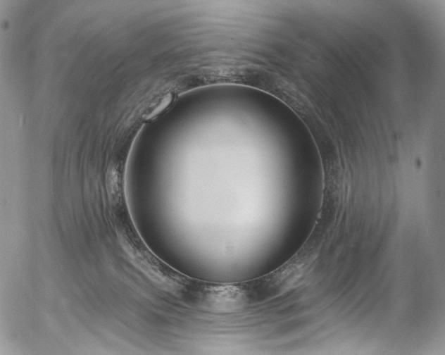X0000057570087200509191452