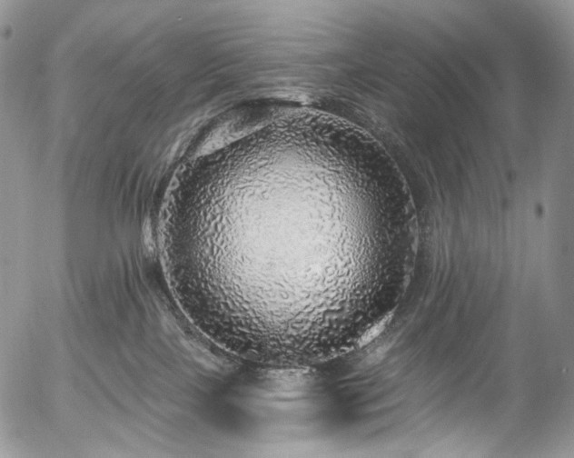 X0000057570089200509191452