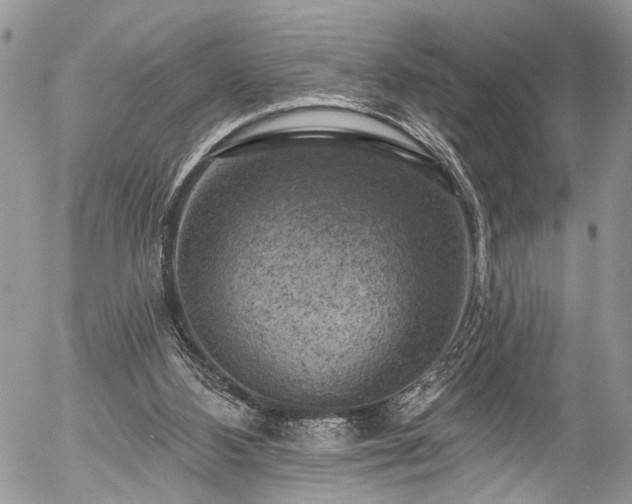 X0000057570108200509191451