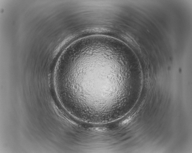 X0000057570111200509191451