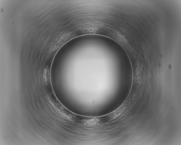 X0000057570122200509191451