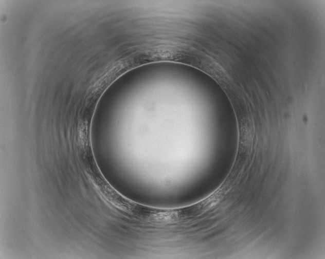 X0000057570126200509191451