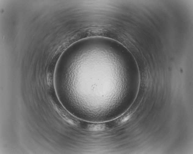 X0000057570135200509191451