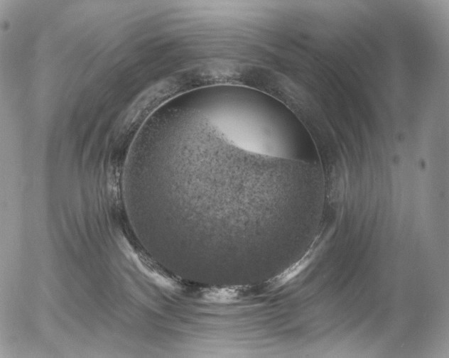 X0000057570140200509191451