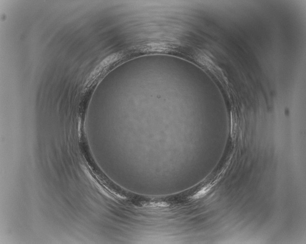 X0000057570157200509191450