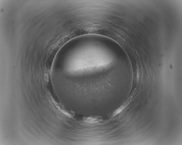 X0000057570180200509191451