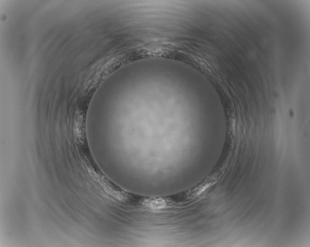 X0000057570181200509191451