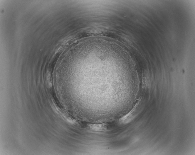 X0000057570187200509191451