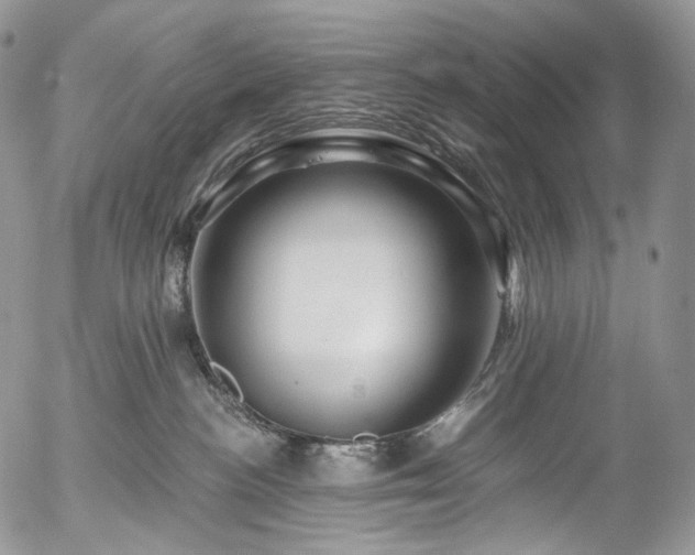 X0000057570188200509191451
