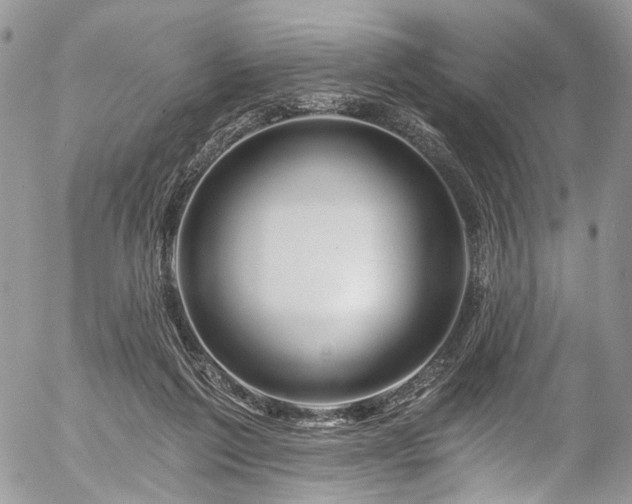 X0000057570213200509191450