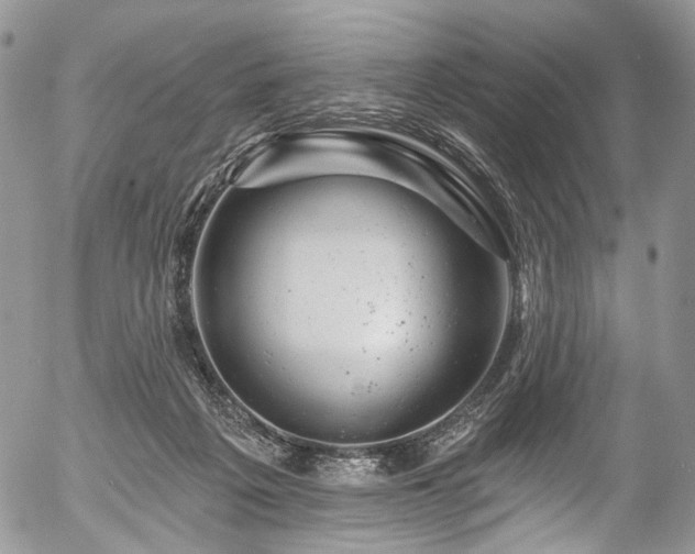 X0000057570217200509191450