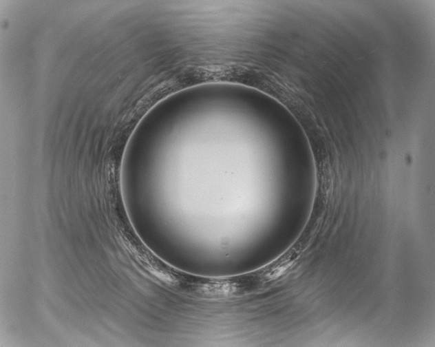 X0000057570225200509191449