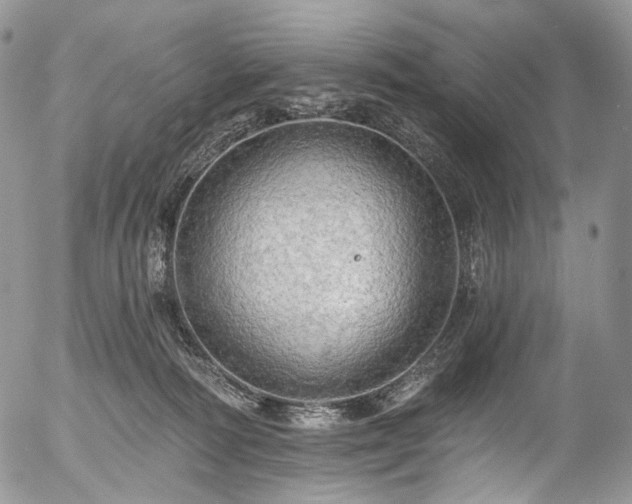 X0000057570226200509191449