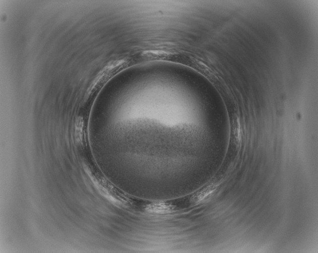 X0000057570231200509191449