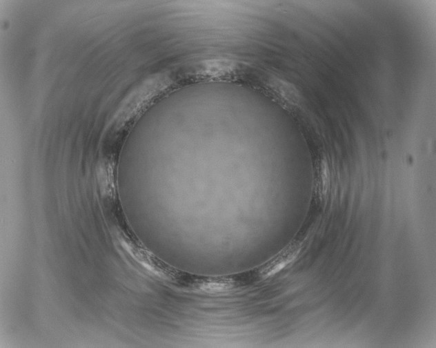 X0000057570236200509191449