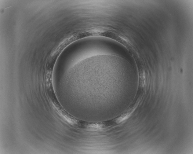X0000057570237200509191449