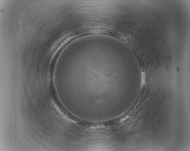 X0000057570243200509191448
