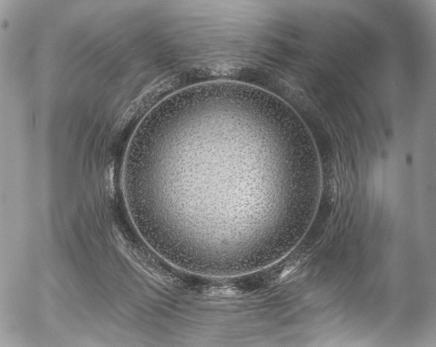 X0000057570262200509191449