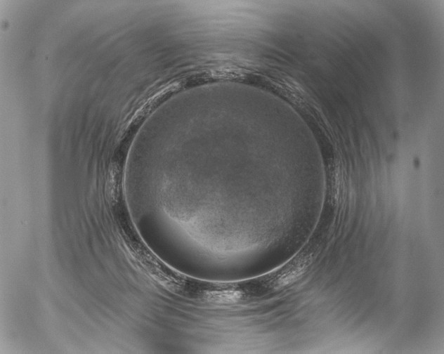 X0000057570266200509191449