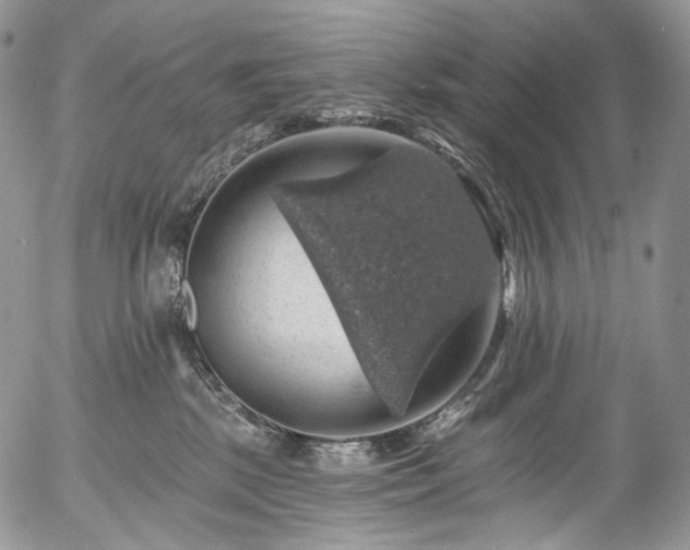X0000057570281200509191449