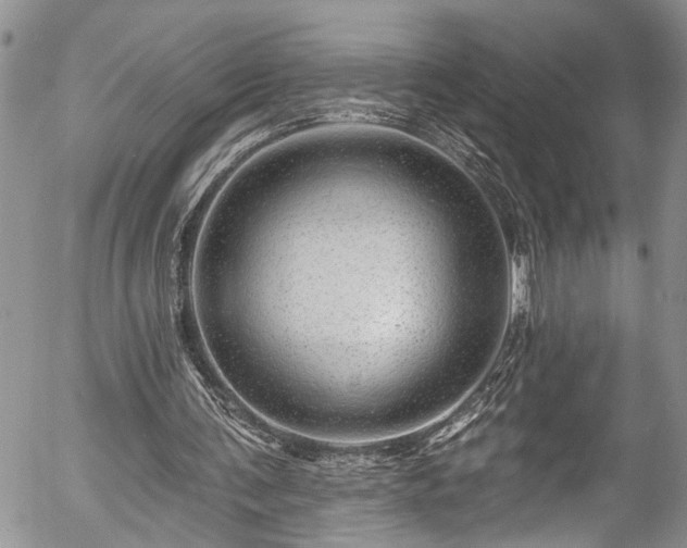 X0000057570291200509191448