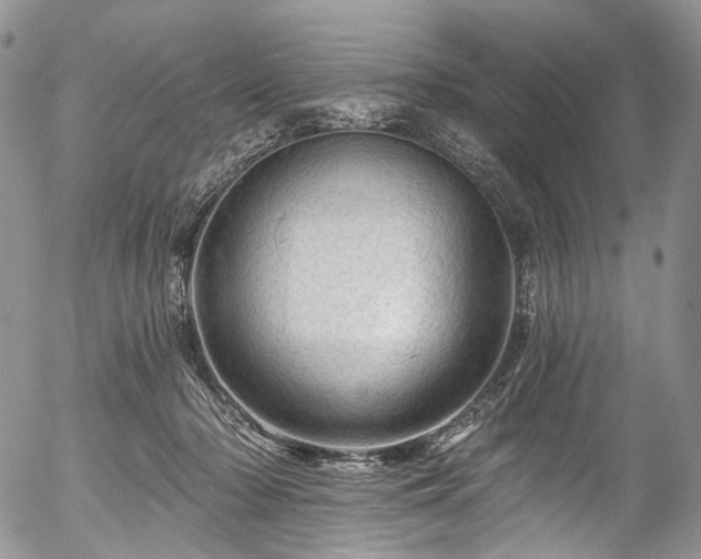 X0000057570318200509191448