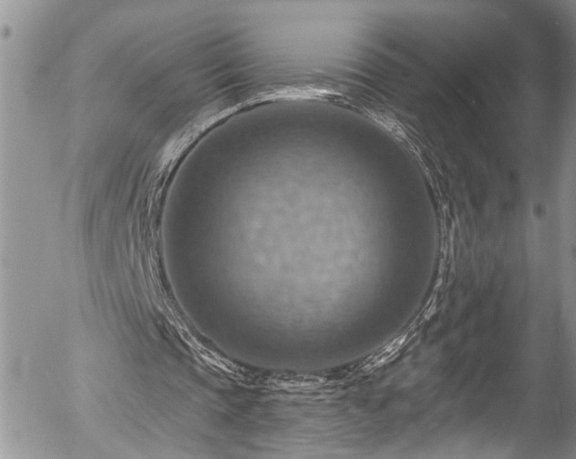 X0000057570337200509191447