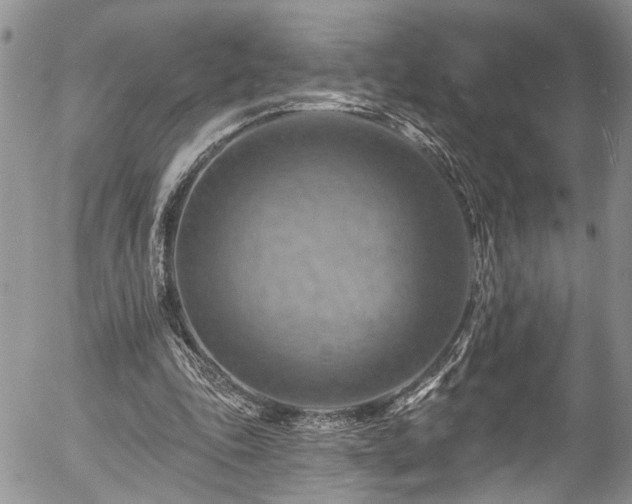 X0000057570343200509191447