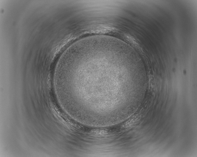 X0000057570354200509191447