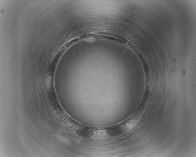X0000057570355200509191447