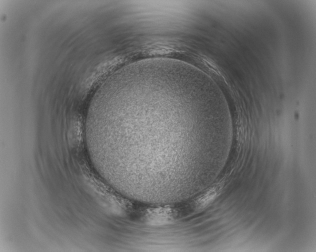X0000057570362200509191447