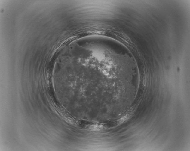 X0000057570366200509191447