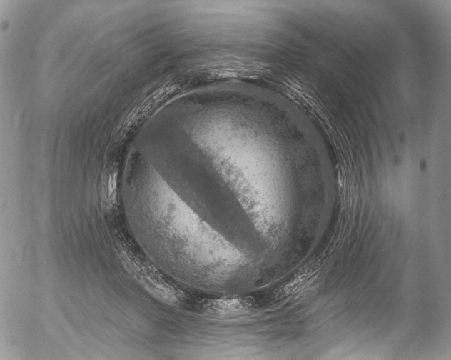 X0000057570406200509191446