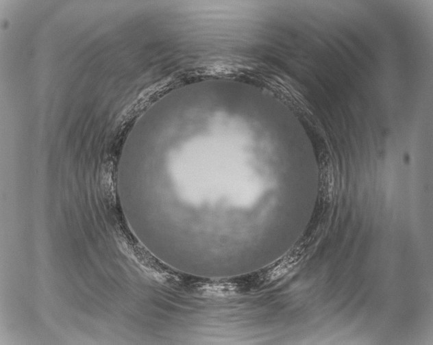 X0000057570415200509191446