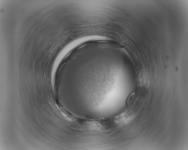 X0000057570424200509191446
