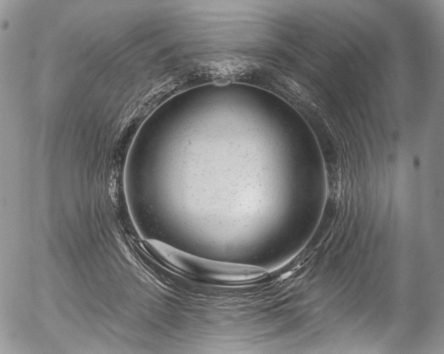 X0000057570456200509191446