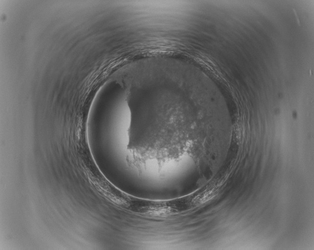 X0000057570458200509191446