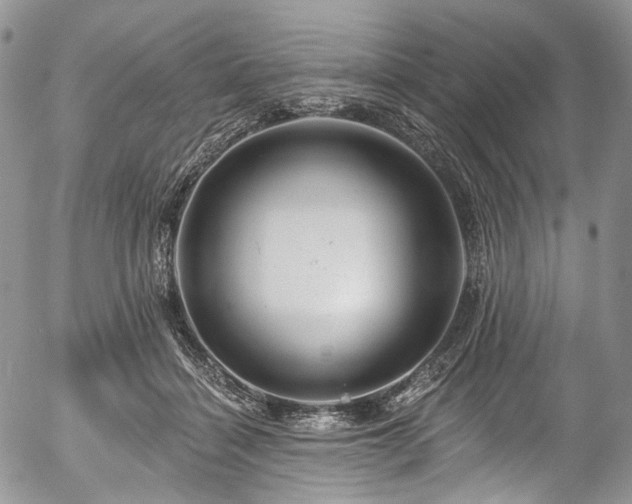 X0000057570460200509191446