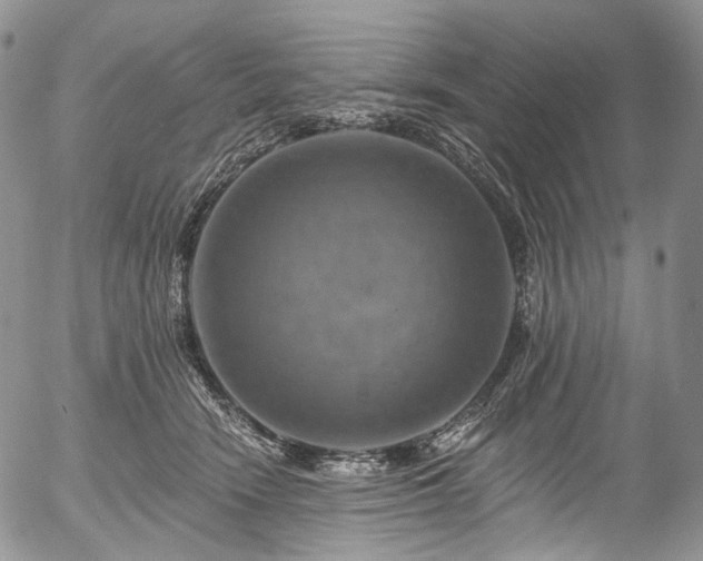 X0000057570466200509191446